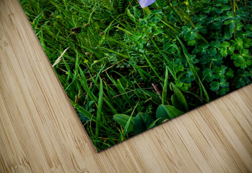 American Basin Columbine Prairie Wind Imagery puzzle