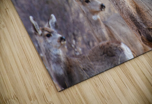 Alert Prairie Wind Imagery puzzle