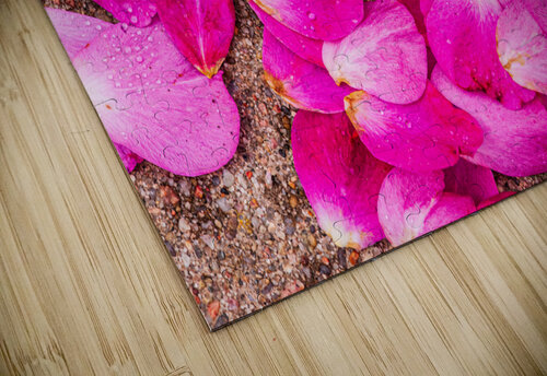 Fallen Petals Prairie Wind Imagery puzzle