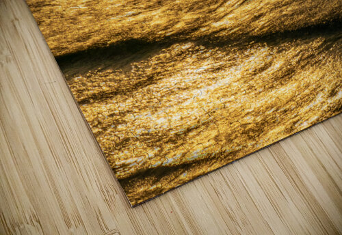 Sunset in the waves Oriel ben yitzhak puzzle