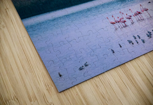 Flamingos in the Hula Valley Oriel ben yitzhak puzzle