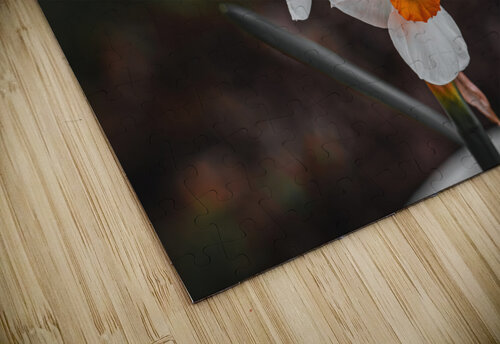 Bunchflower Daffodil - Artistic Chad Meyer puzzle