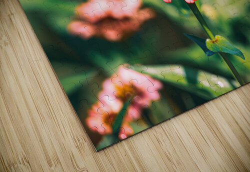 Monarch Butterly - Zinnia Love Chad Meyer puzzle