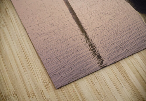 Pensacola Florida Pelican in Fog Norma Brandsberg Photography puzzle