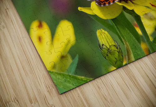  Painted Lady Butterfly - Full of Color Chad Meyer puzzle