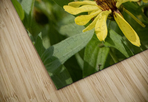 Variegated Fritillaries - Butterfly Courtship on Zinnias Chad Meyer puzzle