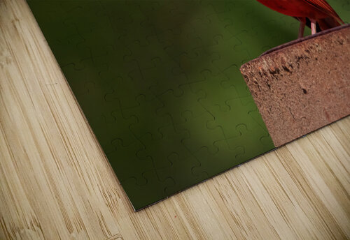 Singing Cardinal Chad Meyer puzzle