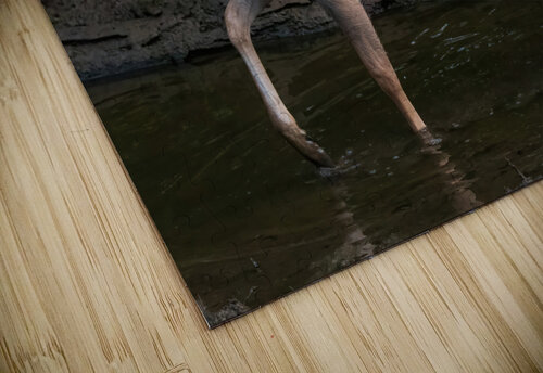Playful Deer - Sticking Tongue Out Chad Meyer puzzle