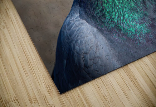 Rock Pigeon Portrait Chad Meyer puzzle
