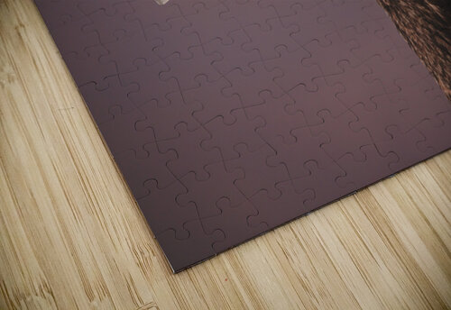 Portrait of a Canada Goose Chad Meyer puzzle