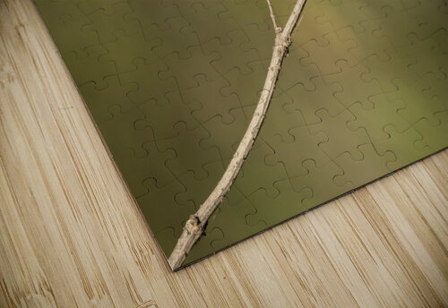 The Lonely Hummingbird Chad Meyer puzzle