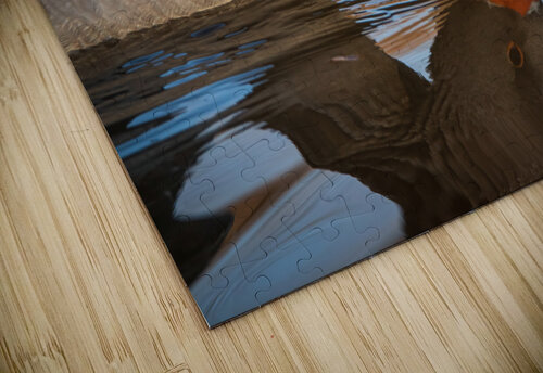 Graylag Goose - Reflection Chad Meyer puzzle