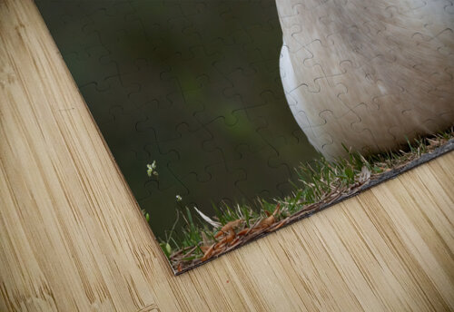 Peaceful Pekin Chad Meyer puzzle