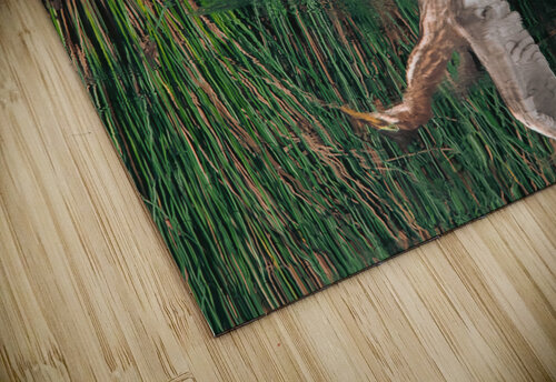 Green Heron - Angel Wings Chad Meyer puzzle