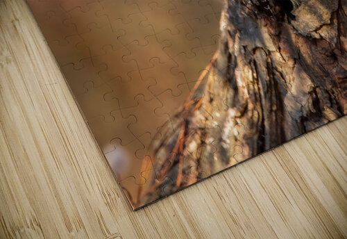 In The Morning Light Chad Meyer puzzle