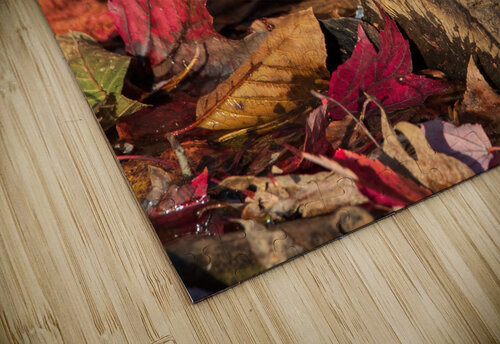Tufted Titmouse in Autumn Foliage Chad Meyer puzzle