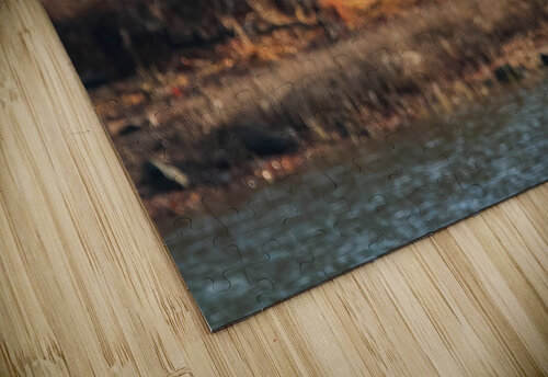 Bald Eagle - The Descent Chad Meyer puzzle