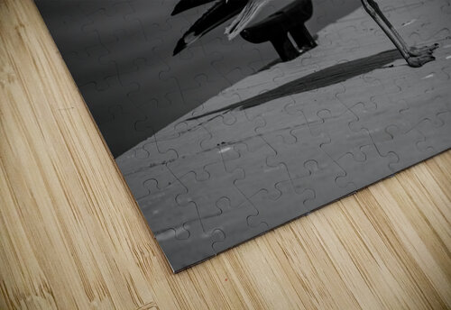 Seagull in Black and White Chad Meyer puzzle