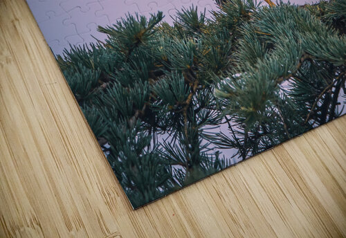 Green Heron - Talk To The Hand Chad Meyer puzzle