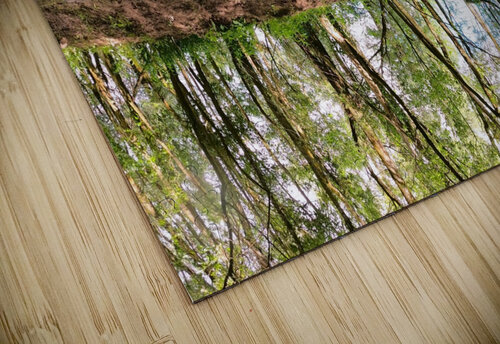 Eye Of Gaia Mr Apple puzzle