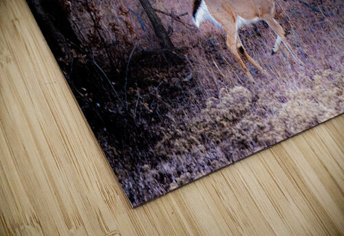 Buck En Pointe Susan Diann Photography puzzle