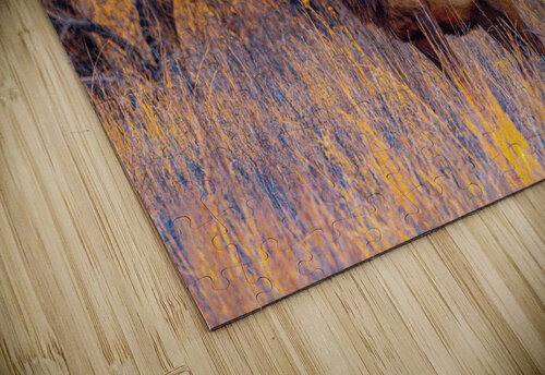 Wichita Mountain Elk Susan Diann Photography puzzle