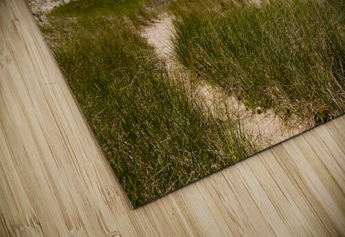 Race Point Lighthouse Near Beach on Cape Cod in Provincetown in Massachusetts Allan Wood puzzle