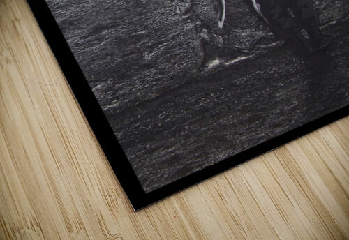 IMG 5539  Benisty Raphael puzzle