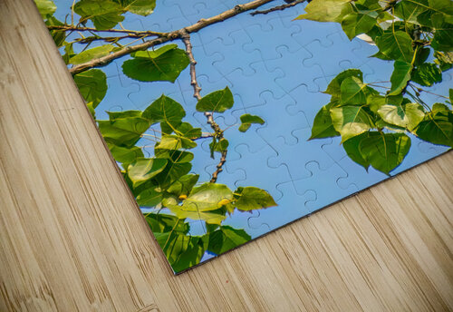 Sitting Pretty Wild TS designs puzzle