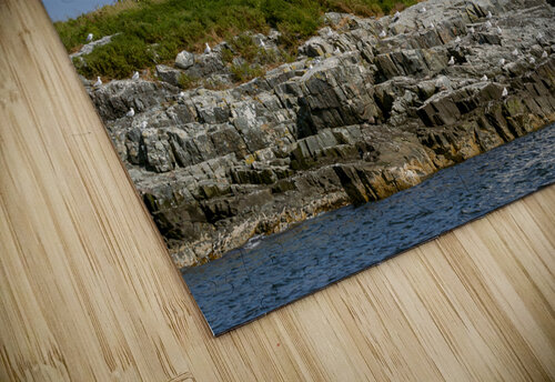 Egg Rock Light is Part of a Protected Seabird Nesting Sanctuary in Maine Allan Wood puzzle