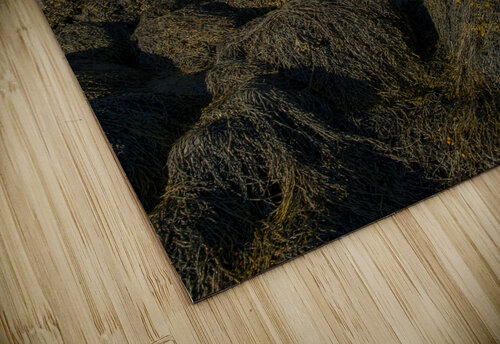 Seaweed Covered Rocks Around  Head Harbor Lighthouse in Canada at Low Tide Allan Wood puzzle
