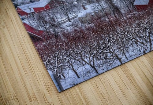 G06 Belltown Orchards Under Snow Kevin Savage puzzle