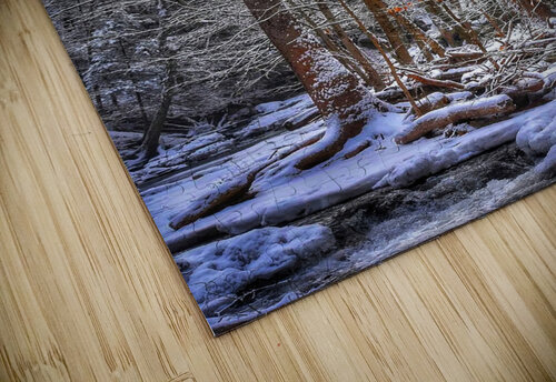 G19 Shining Light Kevin Savage puzzle