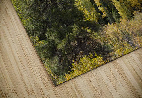 Fall Colors 3 John Becker Photography puzzle