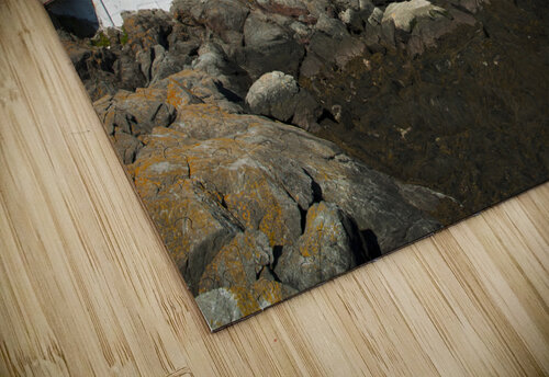 Head Harbor Lighthouse Overlooking Bay of Fundy in Canada Allan Wood puzzle