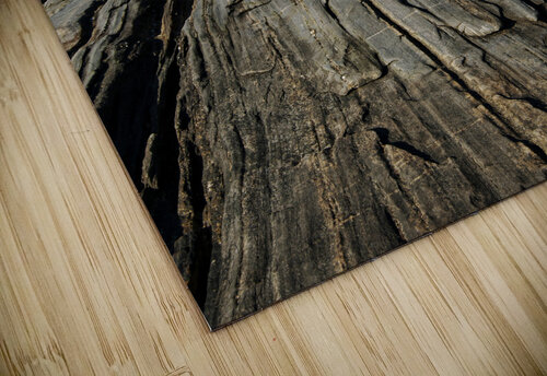 Rock Formations Extend Toward Pemaquid Point Lighthouse in Maine Allan Wood puzzle