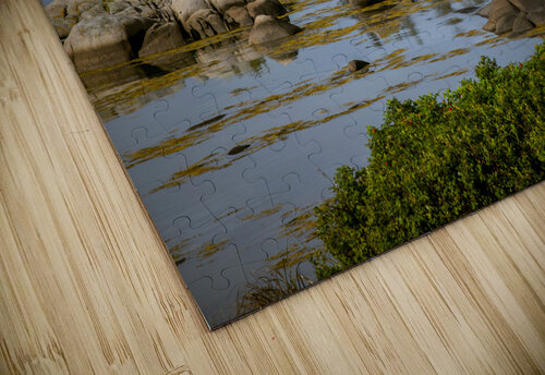 Calm Rocky Shore of Little Deer Isle in Maine Allan Wood puzzle