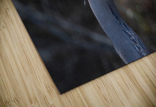 Angry Great Blue Heron Chad Meyer puzzle