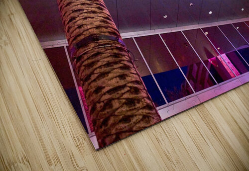 Flamingo Las Vegas Ryan Cameron puzzle