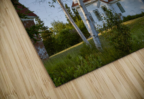 Birch Trees by Fort Point Lighthouse in Midcoast Maine Allan Wood puzzle