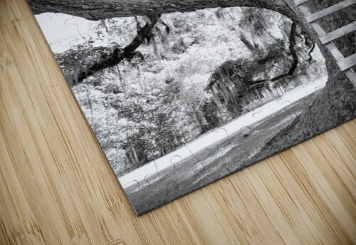 Escape LifeIsFuller puzzle