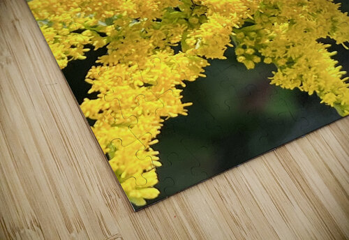 Yellow in spring  Amber McElroy puzzle