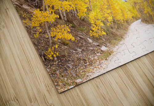 Golden LifeIsFuller puzzle