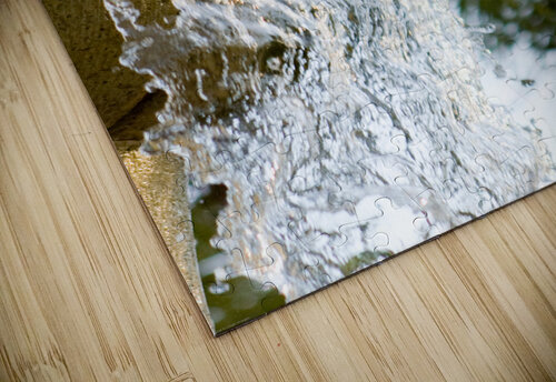 Palmetto Glory LifeIsFuller puzzle
