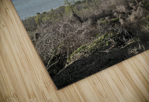 Guntersville lake  Amber McElroy puzzle