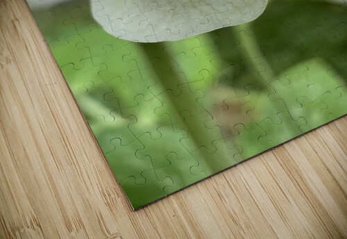 Budding in spring  Amber McElroy puzzle