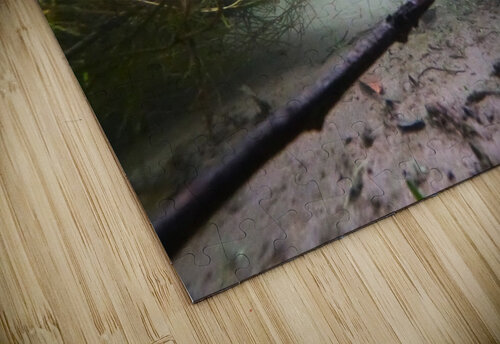 Mysterious Underwater Reflections Mr Apple puzzle