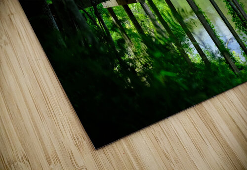 Oxbow Lake - LA Bill Dillingham puzzle