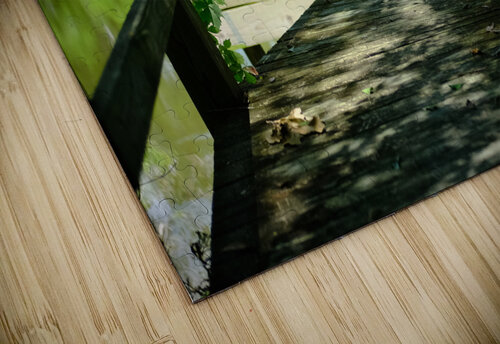 Oxbow Lake 2 - LA Bill Dillingham puzzle