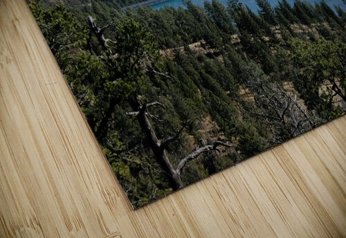 Grindstone Lake Dam in Ruidoso - NM Bill Dillingham puzzle